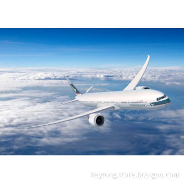 Air Freight Forwarder,air freight service from China to CDG,Paris,France